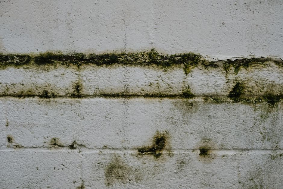 Damp in Old Buildings: Separating Myth from Real Problem