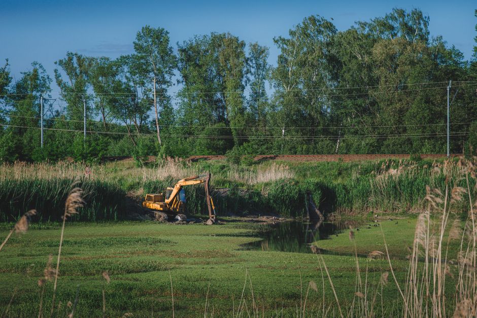 Foundations for Rural Builds: Ground Conditions, Access, and the Costs Nobody Budgets For
